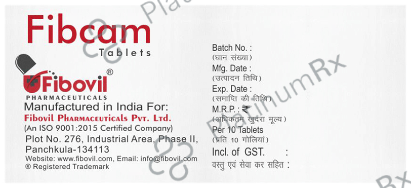 Fibcam Tablet