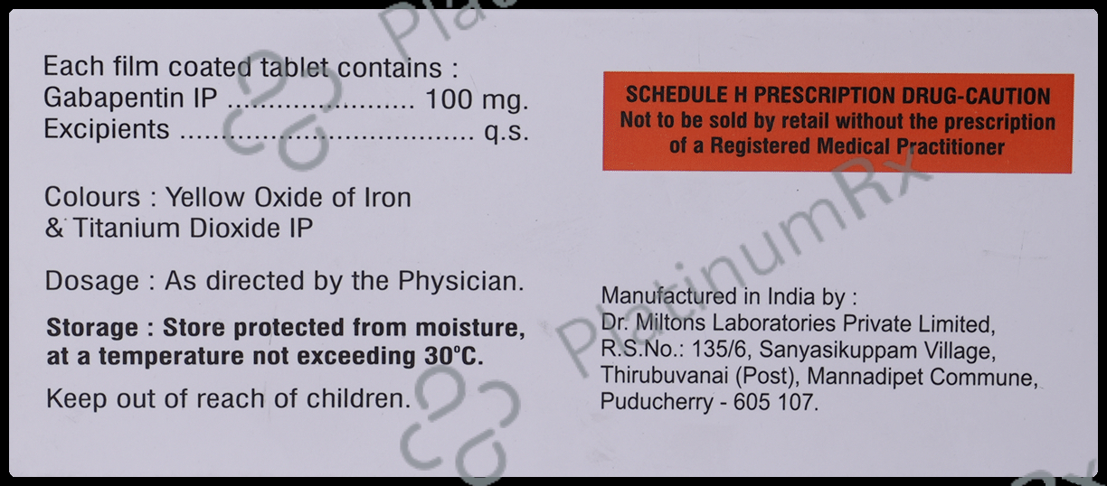 Gabagesic 100mg Tablet 10s