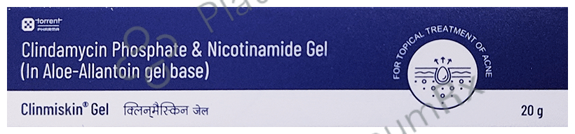 Clinmiskin Gel 20gm