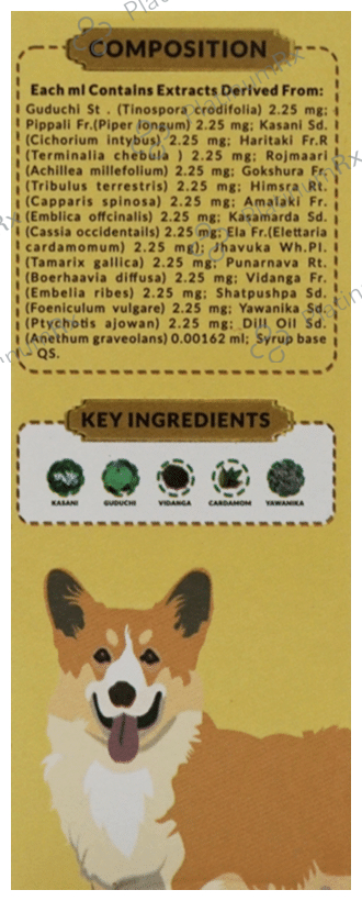 Fur Ball Story Pacho Pet Syrup