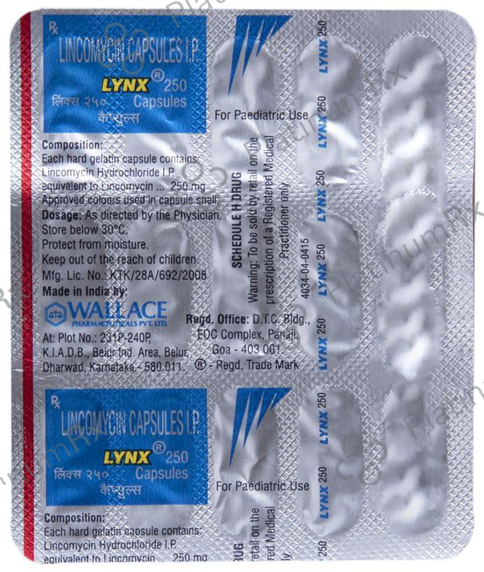 Lynx 250 Capsule