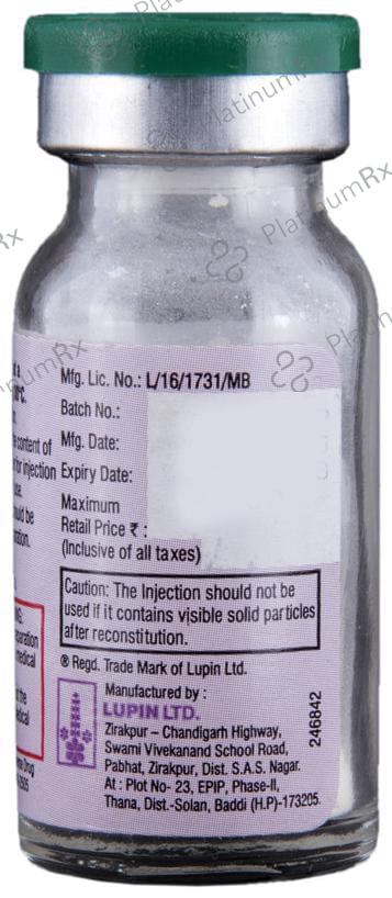 Cefaxone 0.5gm Injection