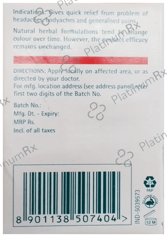 Himalaya Wellness Himalaya Rumalaya Pain Balm - Fast Relief From Headache And Neck Pain Ayurvedic 10 gm