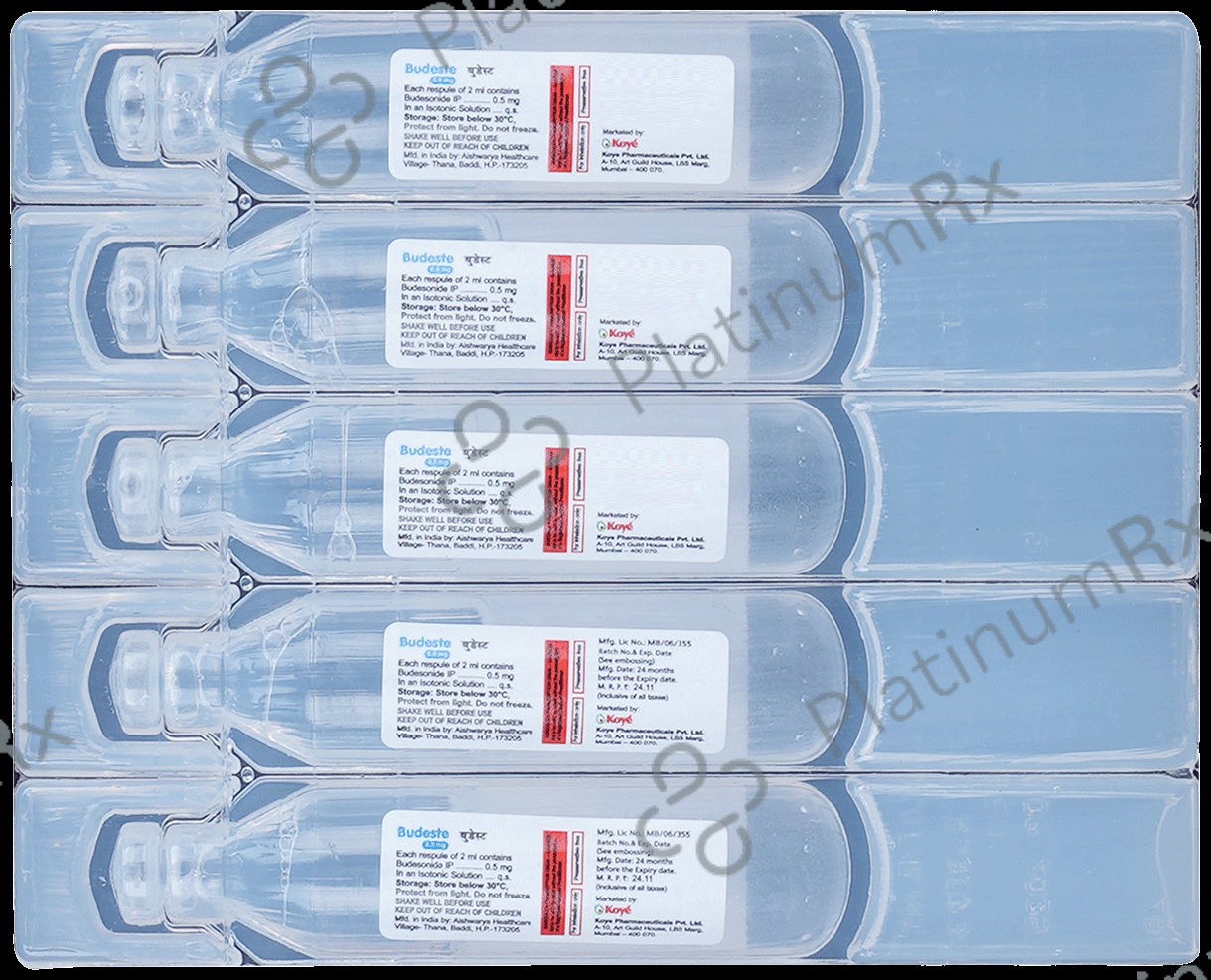 Budeste 0.5mg 2ml Respules 5s
