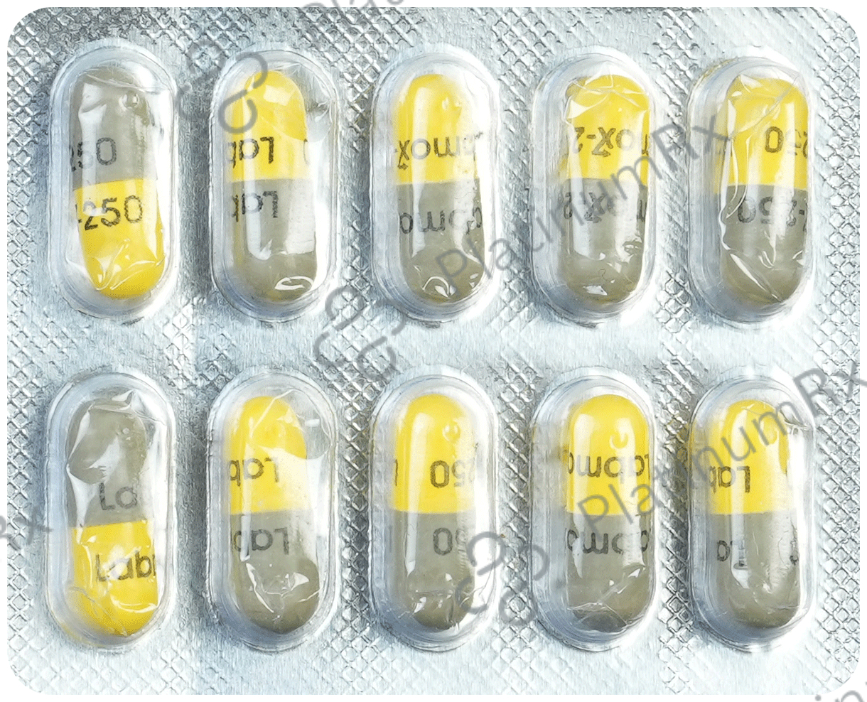 Labmox 250mg Capsule