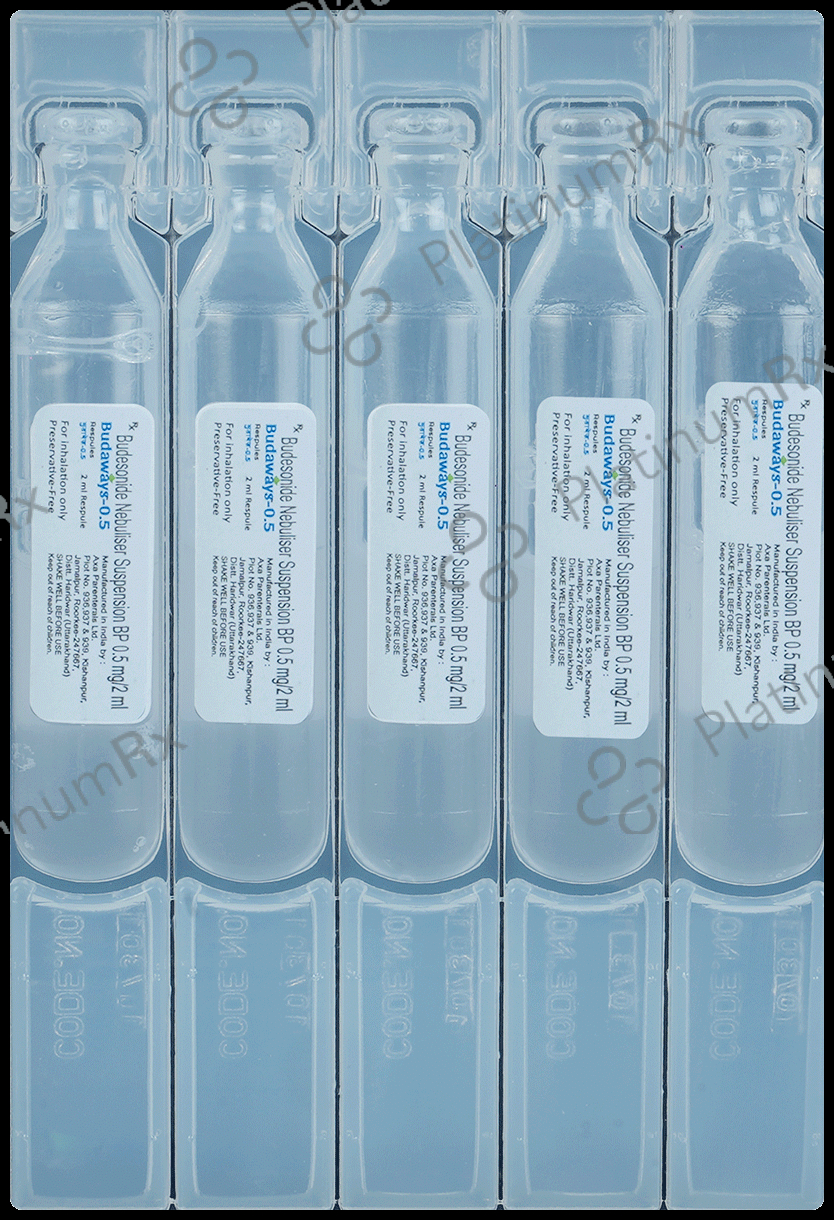 Budaways 0.5mg 2ml Respule 5s