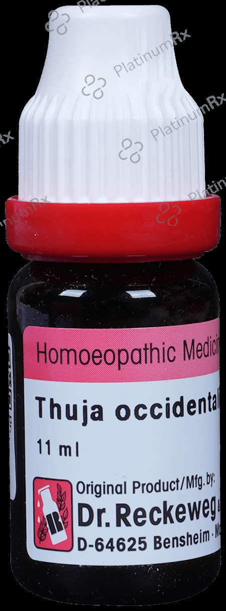 Dr. Reckeweg Thuja Occ Dilution 200 CH