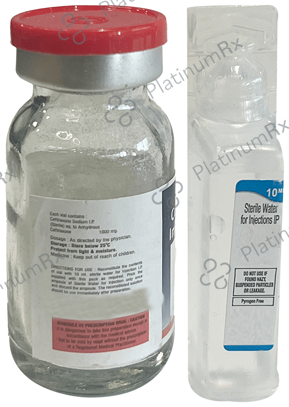 Cefaval Injection