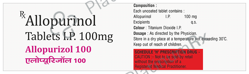Allopurizol 100 Tablet