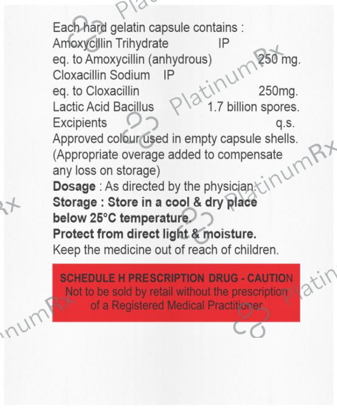 Moxyvil CX 250mg/250mg Capsule