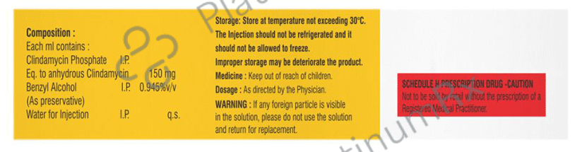 Clindarit 600mg Injection