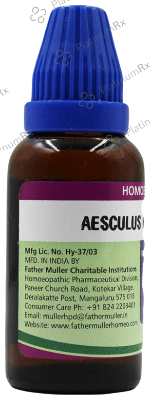 Father Muller Aesculus Hippocastanum Drop Q