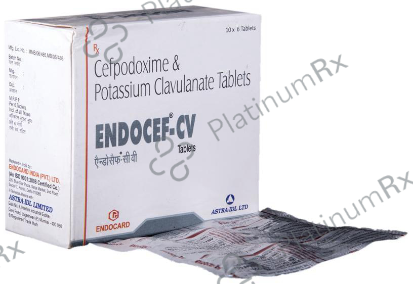 Endocef-CV Tablet