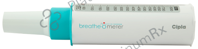 Breathe O Meter (Peak Flow Meter) Unit 1s
