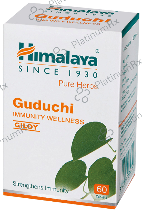 Himalaya Wellness Himalaya Guduchis 250mg Tablet 60s