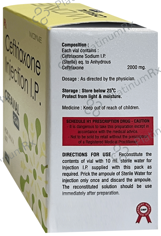 Cefaval 2gm Injection