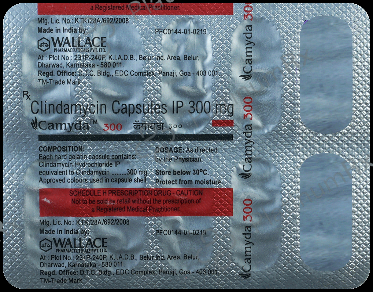 Camyda 300mg Capsule 10s