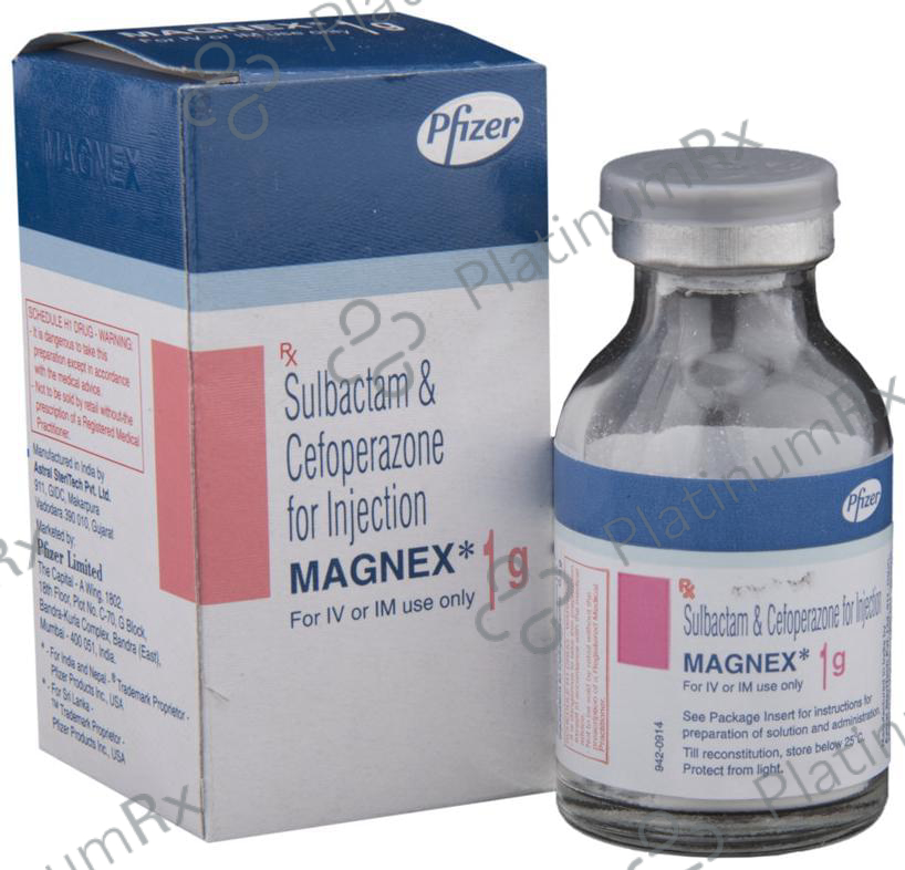 Magnex 500/500mg Injection 1s