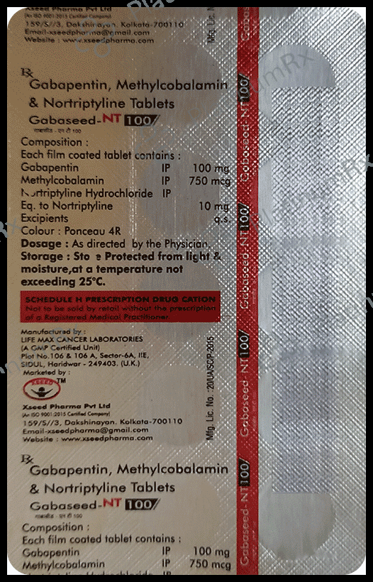 Gabaseed-NT 100 Tablet