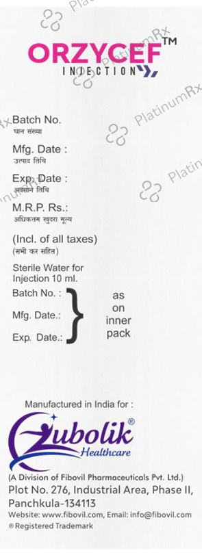 Orzycef 1 gm Injection