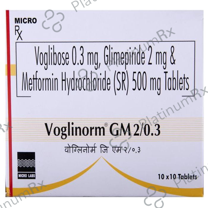 Voglinorm GM 2/0.3 2/500/0.3mg Tablet SR 10s