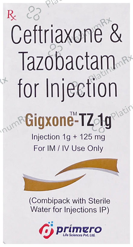 Gigxone-TZ 1g Injection