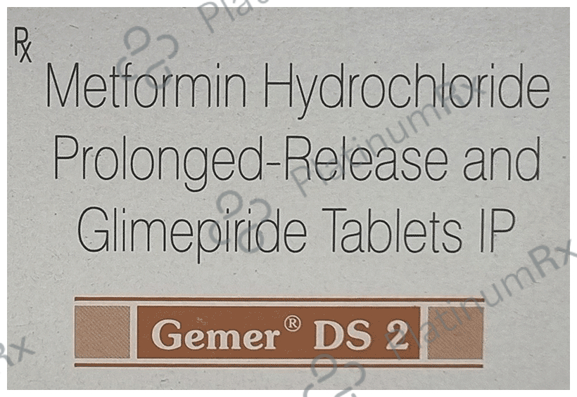 Gemer DS 2 Tablet PR