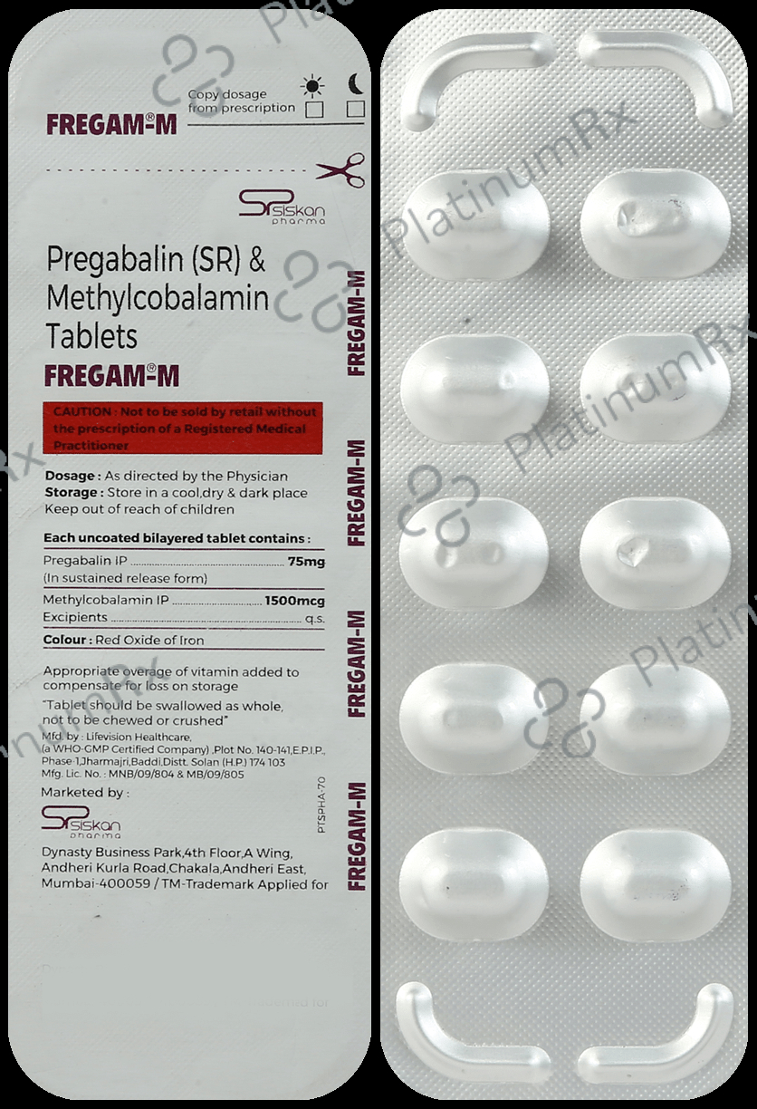 Fregam-M Tablet SR