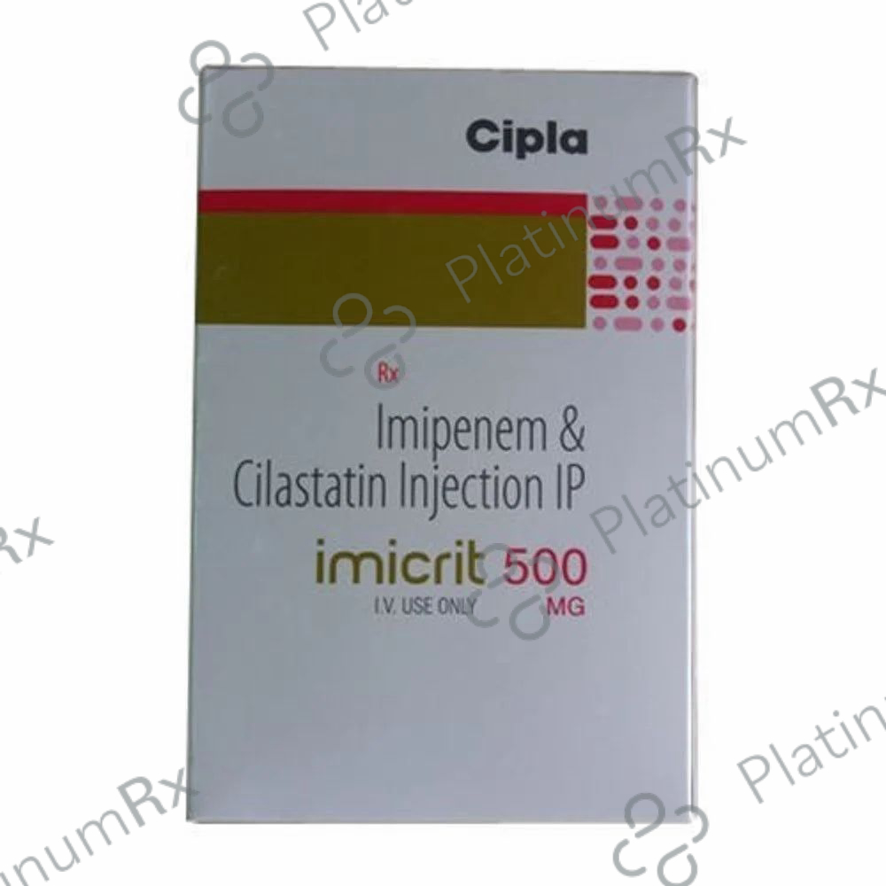 Imicrit 500/500mg Injection 1s