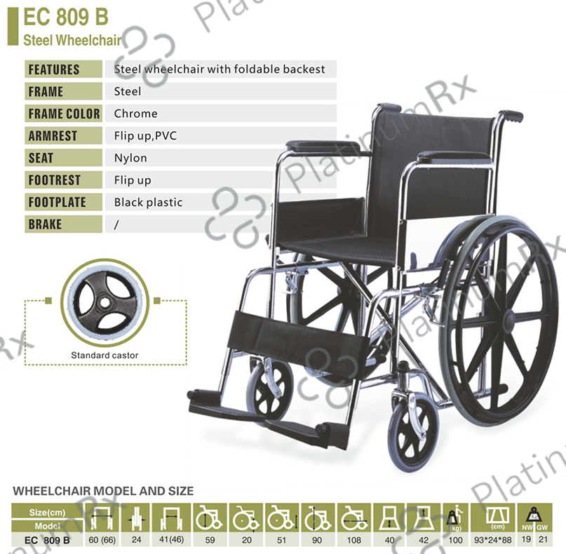 EASYCARE EC 809 B Steel Wheelchair with Foldable Backrest Wheelchair Black