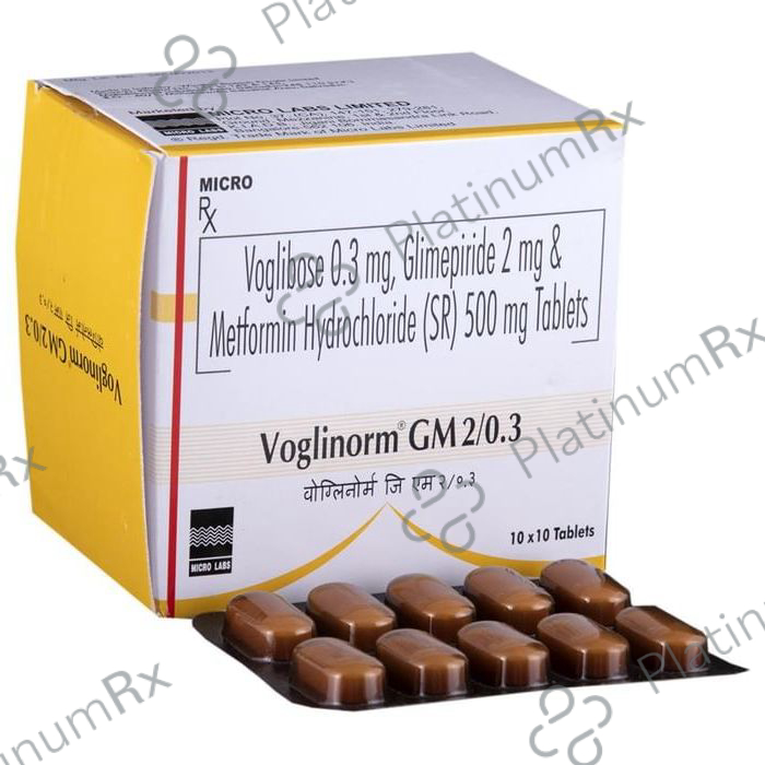 Voglinorm GM 2/0.3 2/500/0.3mg Tablet SR 10s