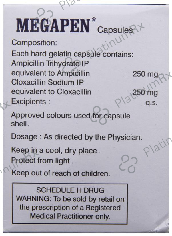 Megapen 250/250mg Capsule 10s