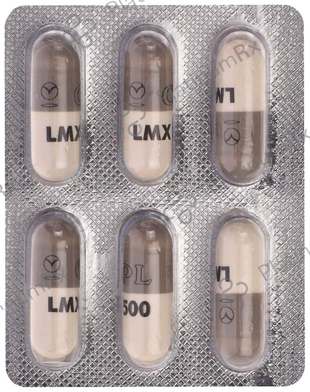 LMX 500 Capsule