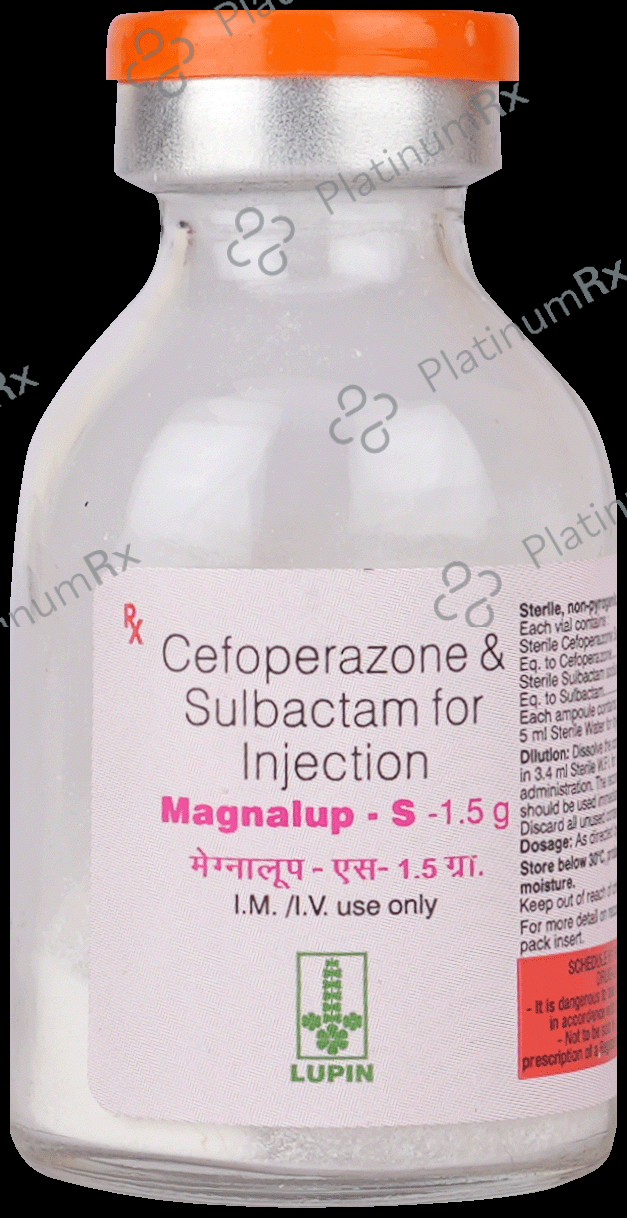 Magnalup S 1000mg/500mg Injection