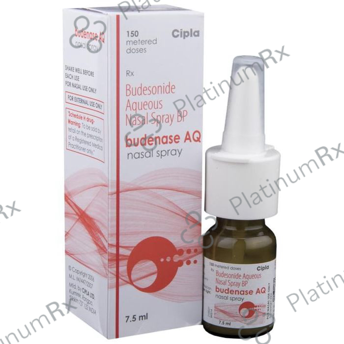 Budenase AQ 100mcg Nasal Spray 1s