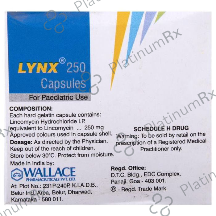 Lynx 250 Capsule