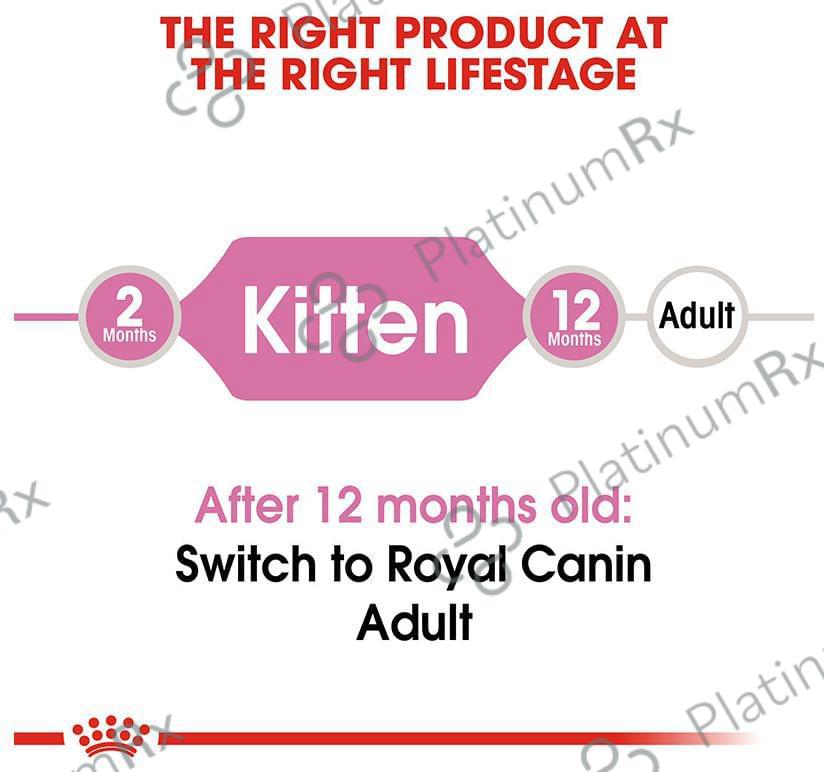 Royal Canin Dry Cat Food Second Age Kitten 2 kg