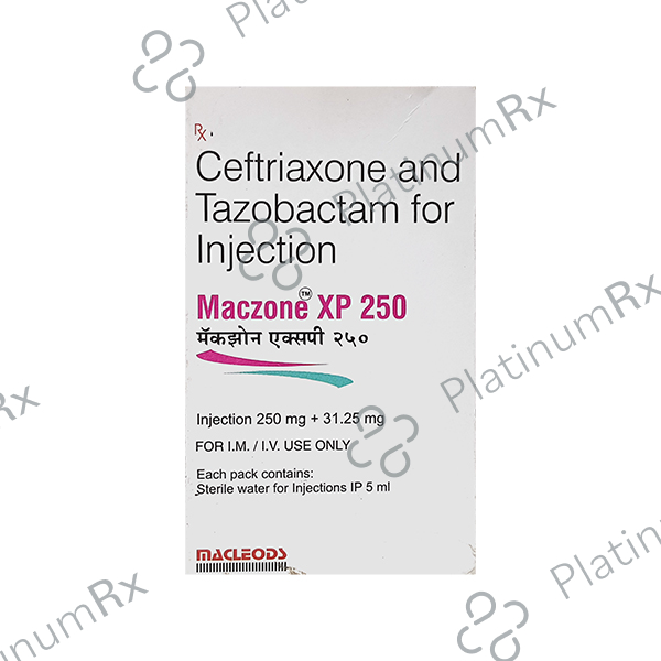 Maczone XP 250/31.25mg Injection 5ml