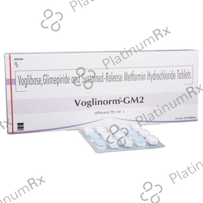 Voglinorm GM 2/500/0.2mg Tablet SR 15s
