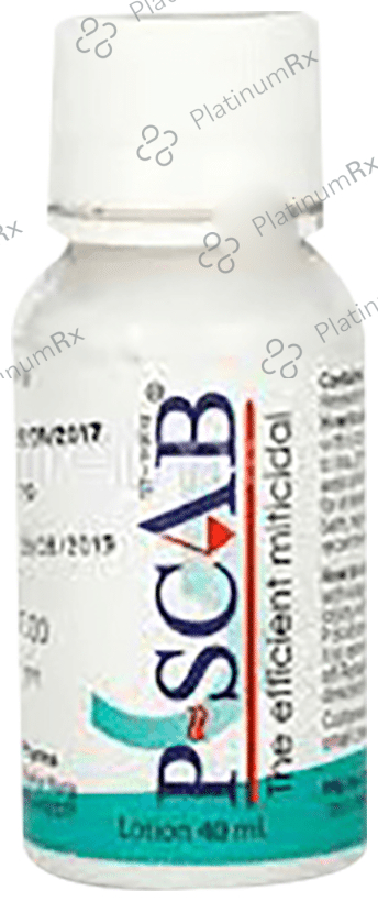 P Scab 5% Lotion 40ml
