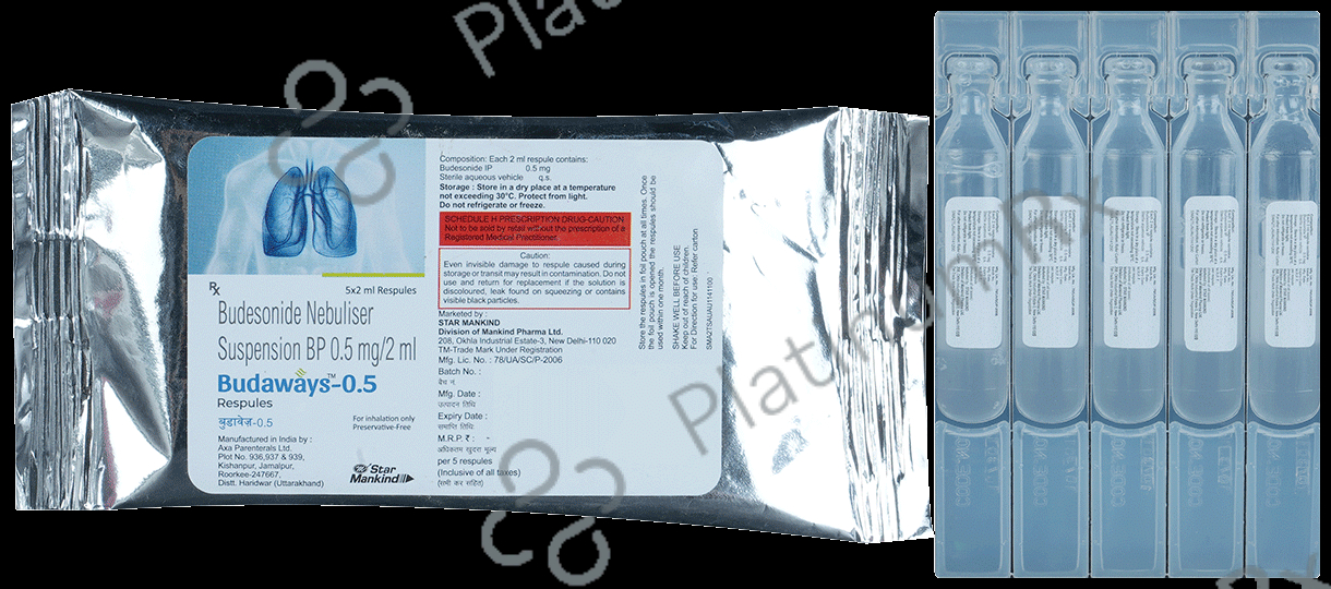 Budaways 0.5mg 2ml Respule 5s