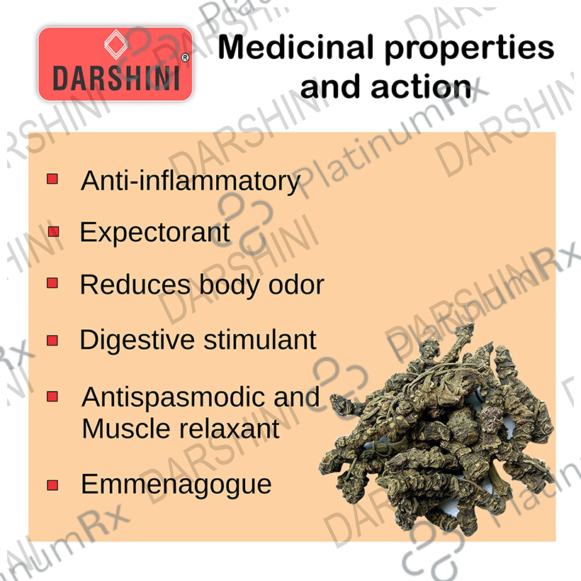 Darshini Tagar- Mushkbala -Ganthoda- - Sugandhabala - Valeriana Wallichii Powder 200 gm