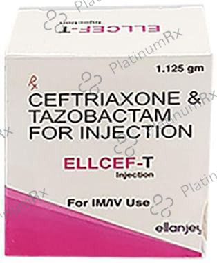 Ellcef-T Injection