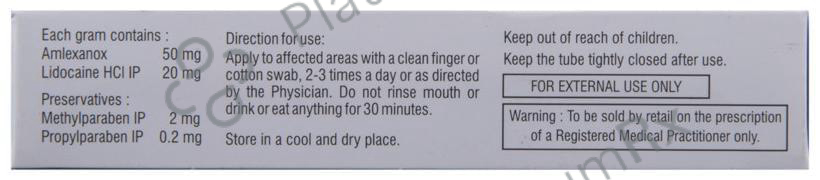 Lexanox Plus Oral Paste Sugar Free 5gm
