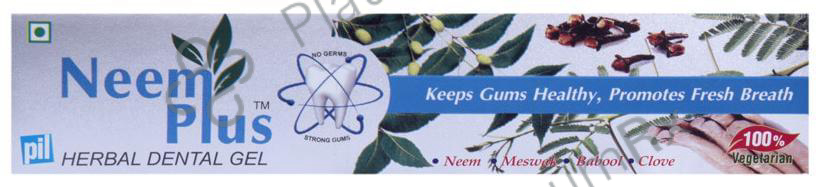 PIL Neem Plus Herbal Dental Gel - Neem Toothpaste With Clove, Meswak & Babool