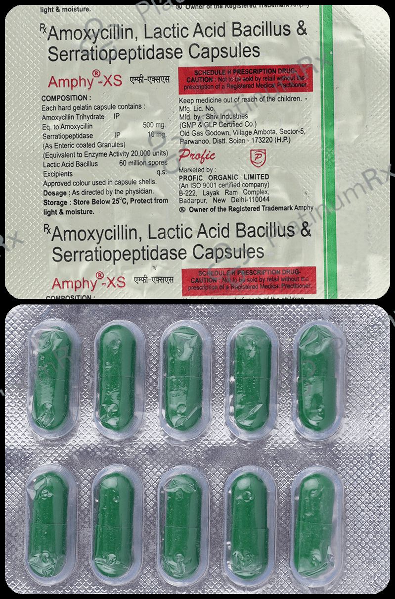 Amphy XS Capsule