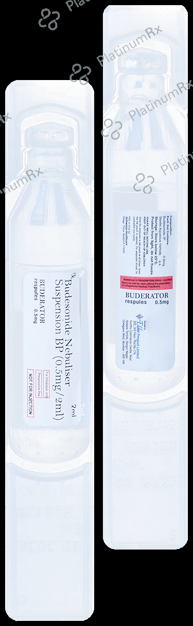 Buderator 0.5mg Respule 2ml
