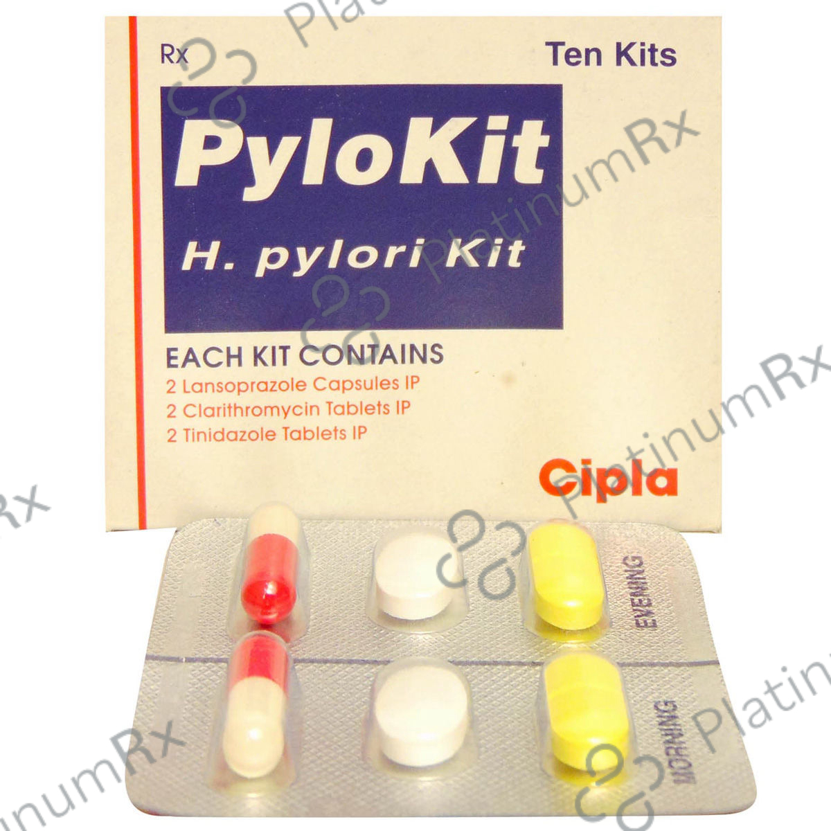Pylokit Kit 1s