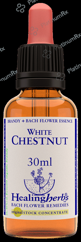 Healing Herbs Bach Flower White Chestnut 30 ml
