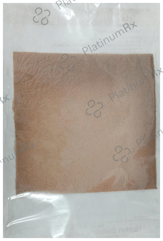 Human Biosciences Skin Temp II Type 1 Bovine Collagen Sheet 20cm x 20cm